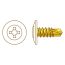 White Button Head Self Drilling Screw