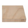 Protecta Plywood